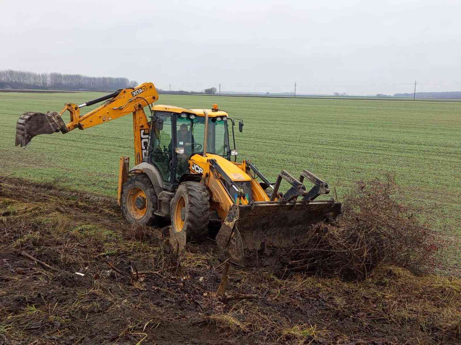 UG „BODROG” i OŠ „22. oktobar” zajedno u ekološkom projektu: radionice, reciklaža i priprema drvoreda