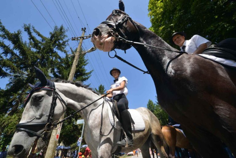 Konji na Bodrog festu – tradicija koja se vraća na monoštorske sokake Konji na Bodrog festu – tradicija koja se vraća na monoštorske sokake
