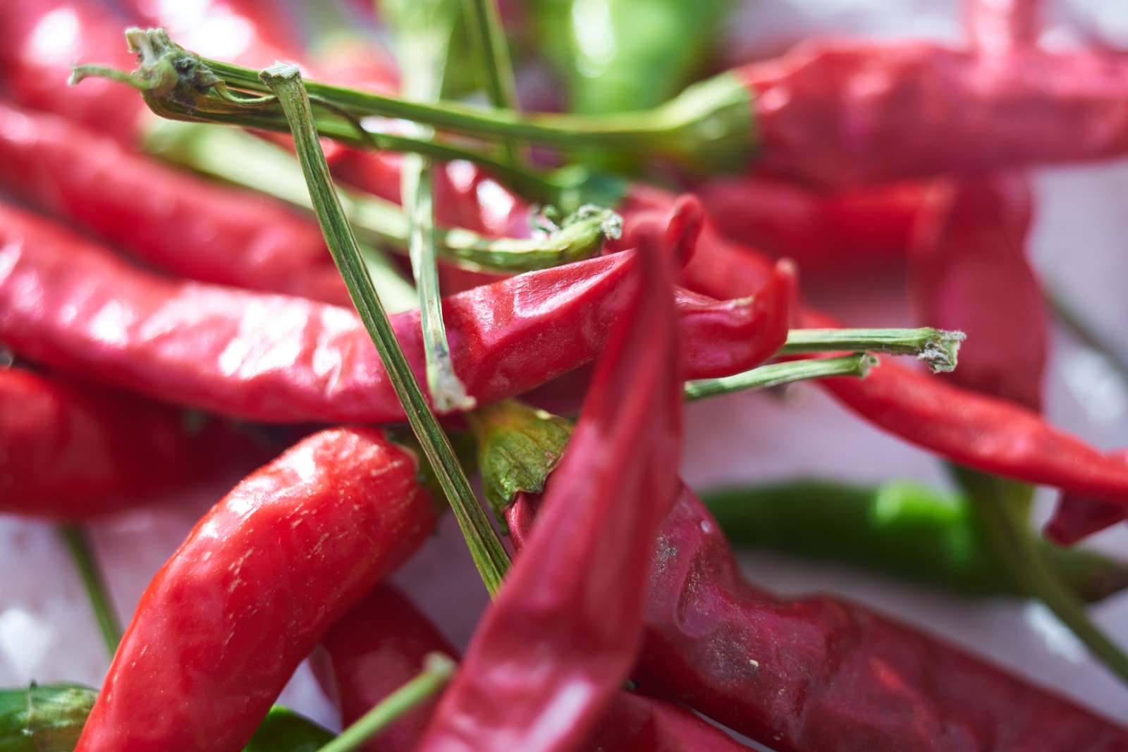 Od njive do kotlića – paprika koja daje dušu monoštorskom ribljem paprikašu